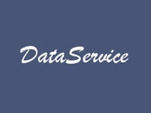 Logo Data-Service, S.l.