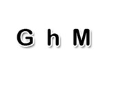 GhM Informatica