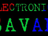 Electronica Savan