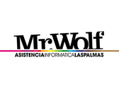 Mr.Wolf Asistencia Informática